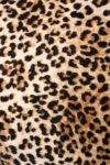 rockett-st-george-leopard-love-velvet-cushion