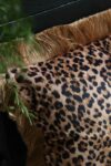 rockettstgeorge-Leopard-Love-Cushion-lores