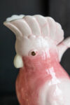 rockettstgeorge-Pink-Cockatoo-Carafe-Jug-lores-4