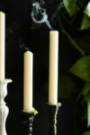 rockettstgeorge-Set-of-6-Dinner-Candles-In-Ivory-lores_1