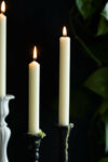 rockettstgeorge-Set-of-6-Dinner-Candles-In-Ivory-lores_1