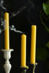 rockettstgeorge-Set-of-6-Dinner-Candles-In-Ochre-lores_1