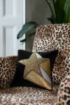 rockettstgeorge-Shooting-Star-Cushion-lores-8