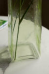 rockettstgeorge-Tall-Textured-Grass-Green-Vase-lowre_1of4