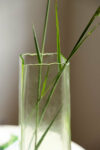 rockettstgeorge-Tall-Textured-Grass-Green-Vase-lowre_1of4