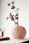 rockettstgeorge-blush-shell-deco-vase-lowres-lifestyle