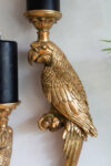 rockettstgeorge-set-of-2-golden-macaw-parrot-candle-holders-left-_-right-lores_1