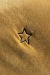 rockettstgeorge-signature-gold-velvet-star-quilt-lores